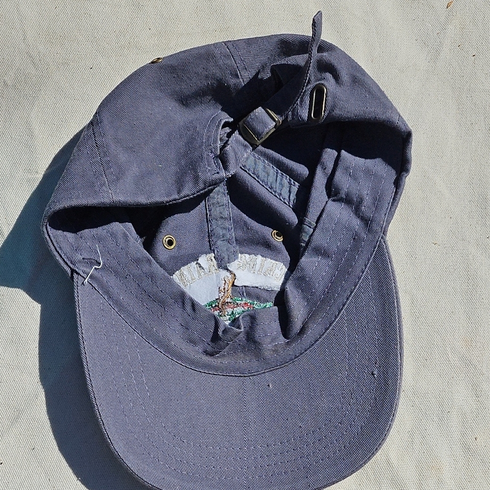 Source Unknown Blue Cap - image 4